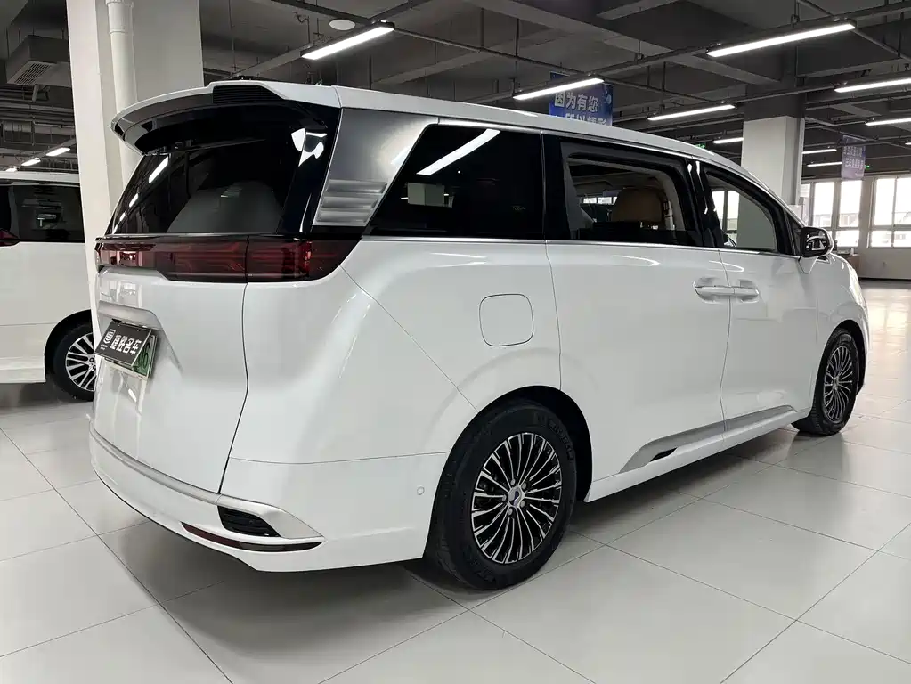 Denza Denza D9 — миниатюра 3