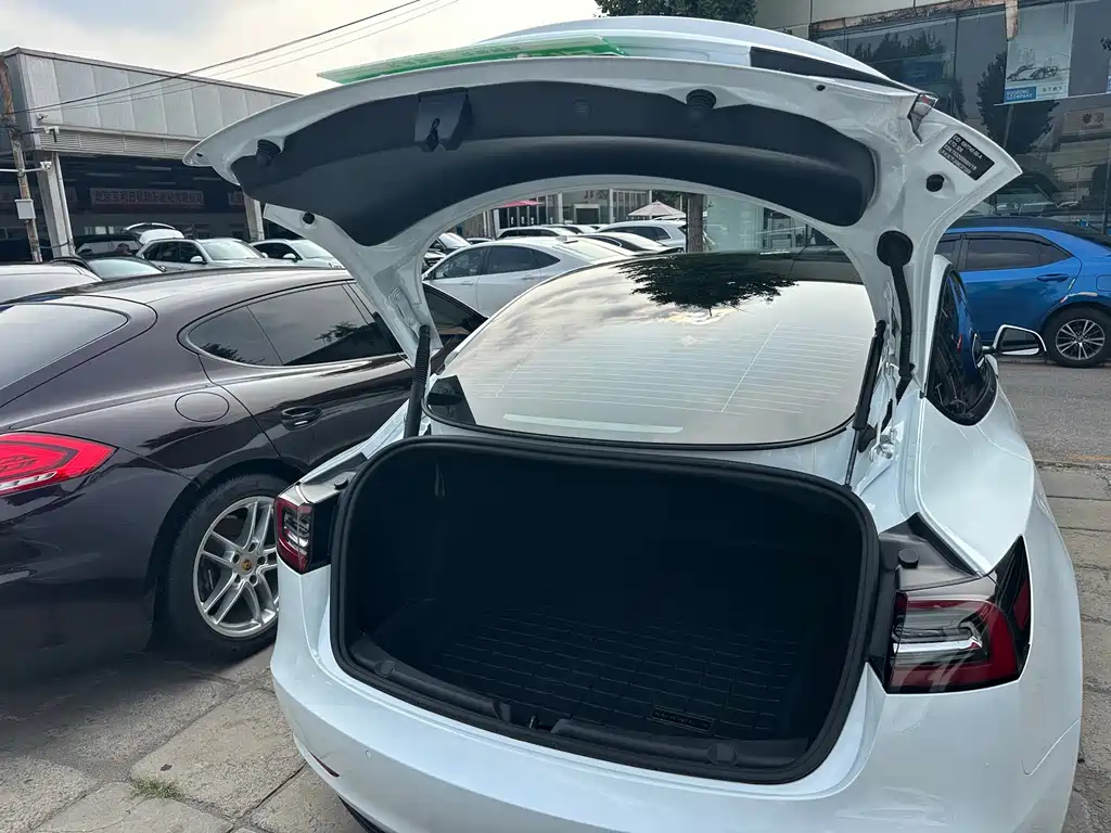 Tesla Model 3 — миниатюра 6