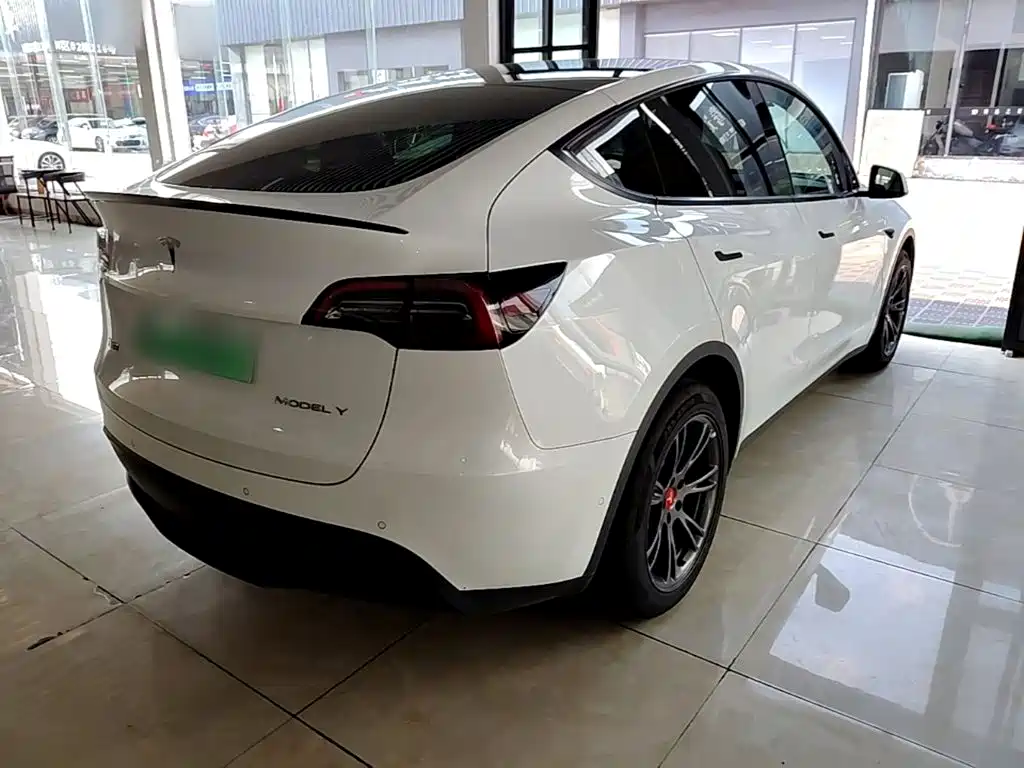 Tesla Model Y — миниатюра 7