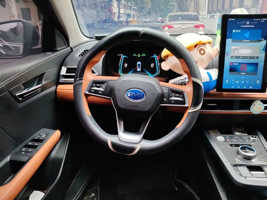 BYD e2 — миниатюра 6