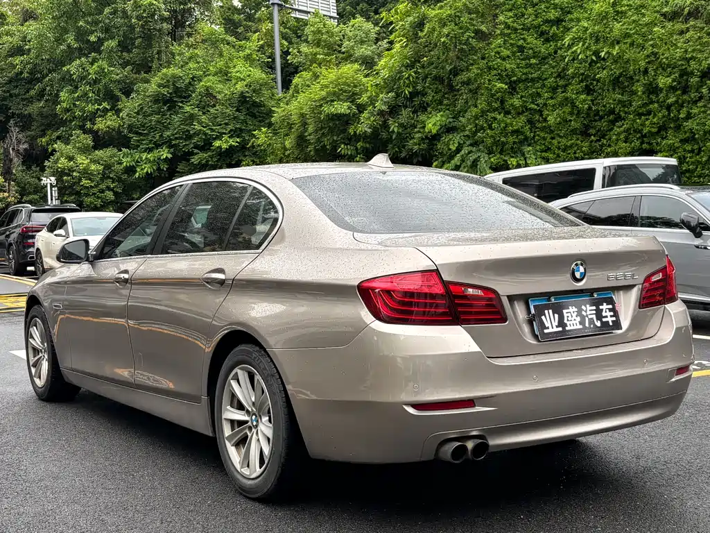 BMW 5 Series 5 2017 520Li Elegant