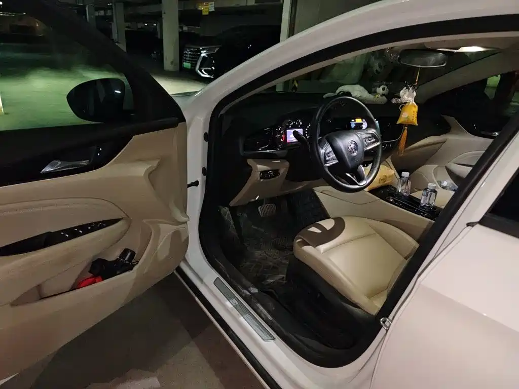 Buick Regal — миниатюра 17