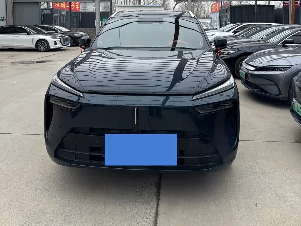 WEI PAI WEI BRAND BLUE MOUNTAIN