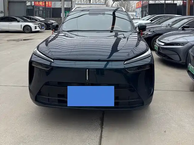 WEI PAI WEI BRAND BLUE MOUNTAIN 2023