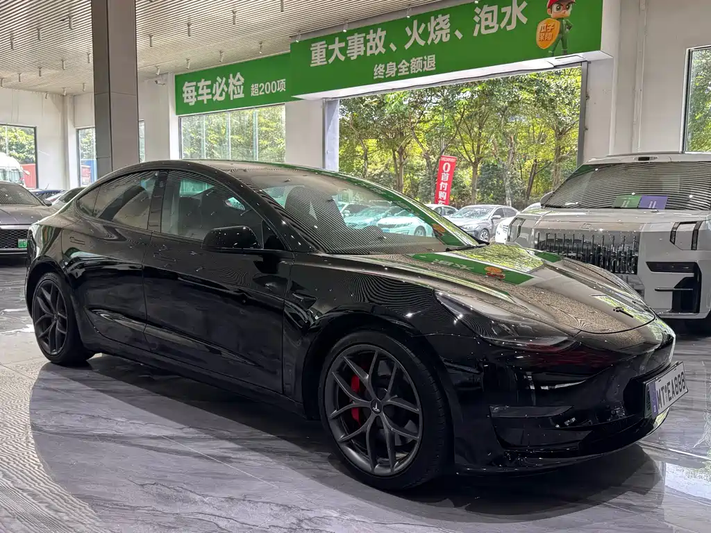 Tesla Model 3 — миниатюра 3