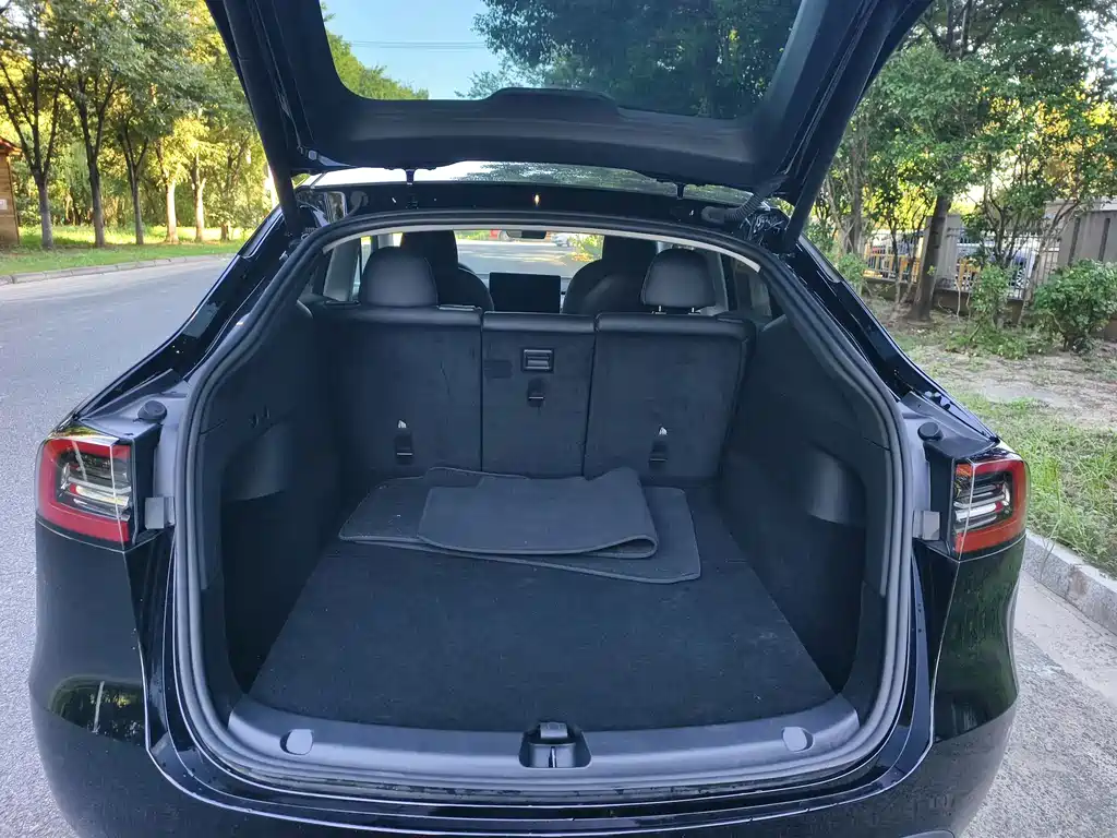 Tesla Model Y — миниатюра 15