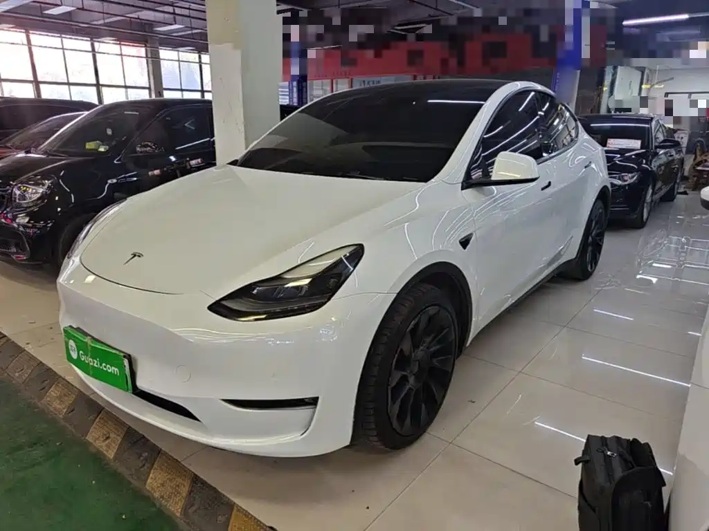 Tesla Model Y — миниатюра 2