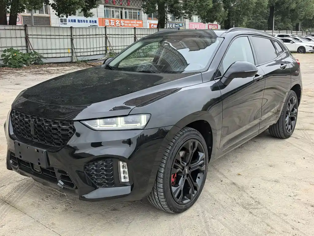 WEI PAI WEI BRAND VV7