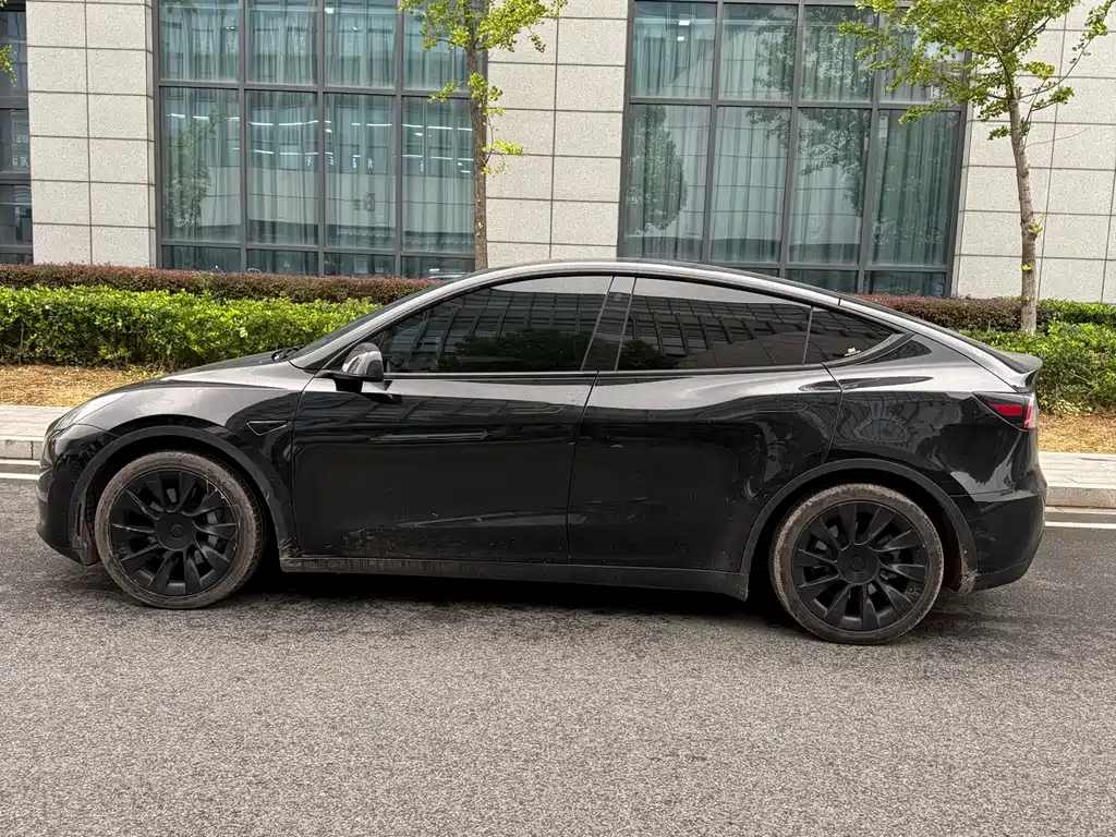 Tesla Model Y — миниатюра 8