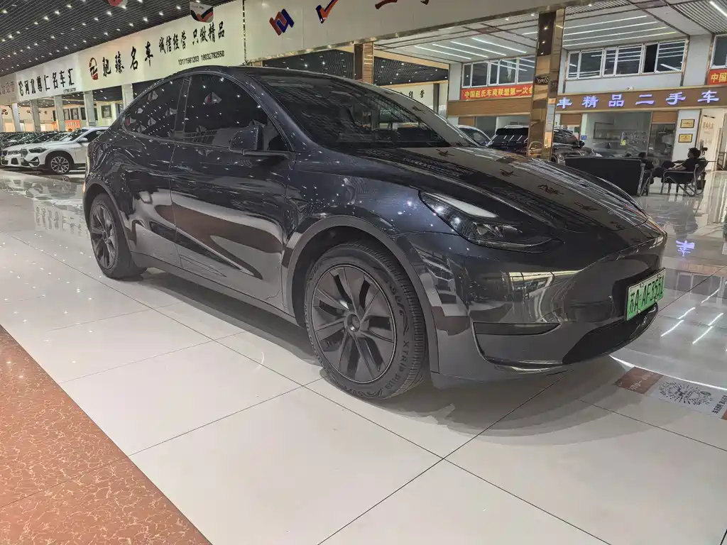 Tesla Model Y — миниатюра 3