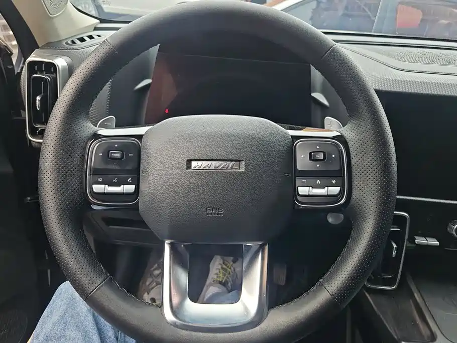 Haval 长城大狗 — миниатюра 15