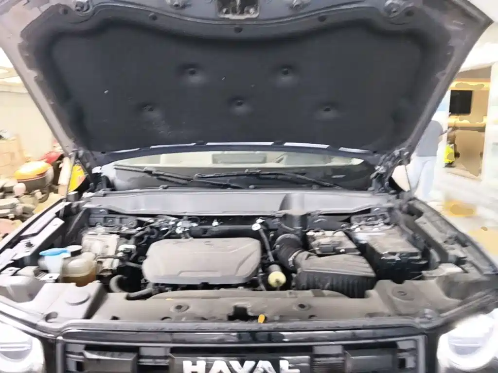 Haval 长城大狗 — миниатюра 25