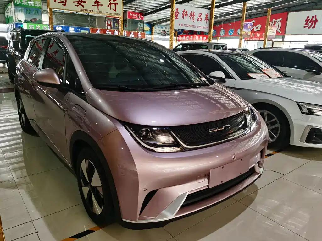 BYD Dolphin — миниатюра 3