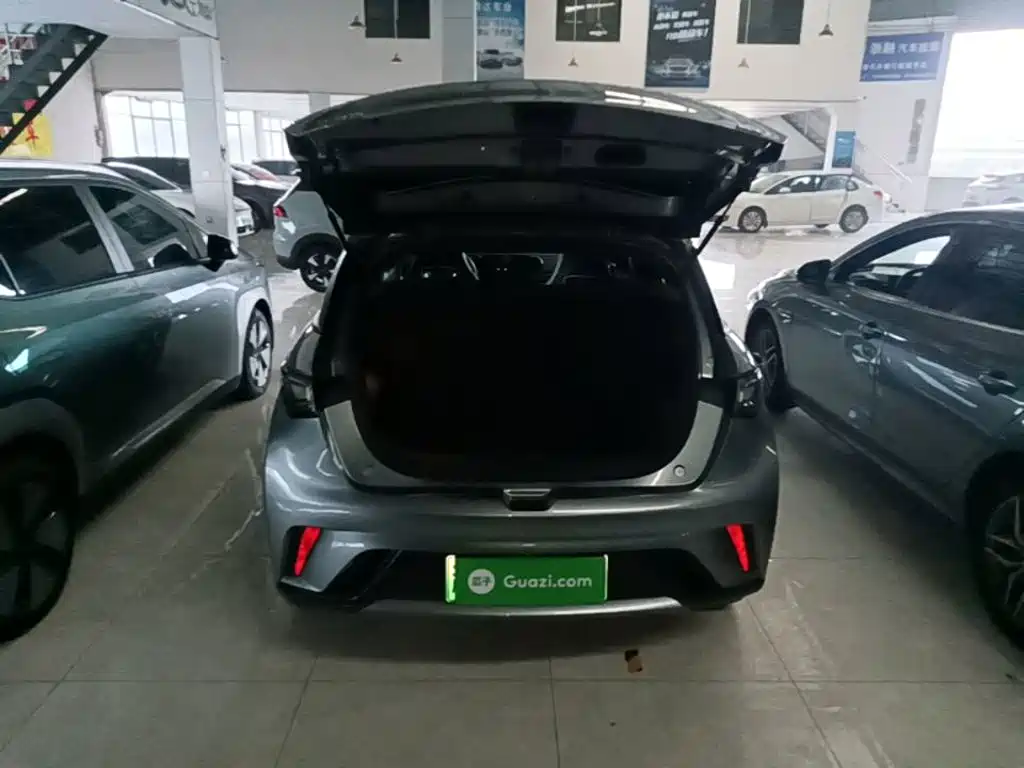 BYD Dolphin — миниатюра 19
