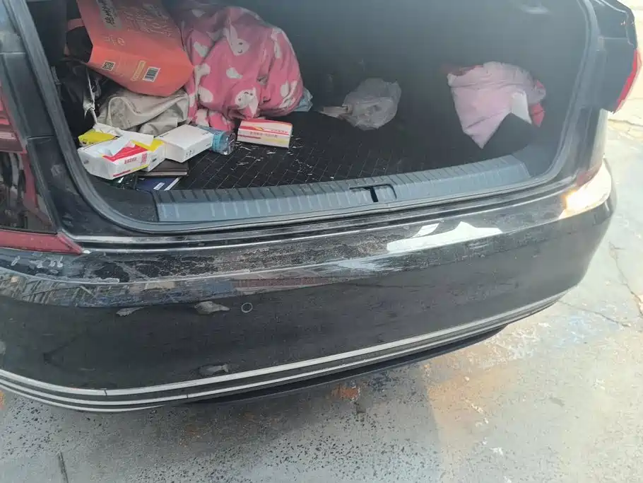 Volkswagen Passat — миниатюра 4