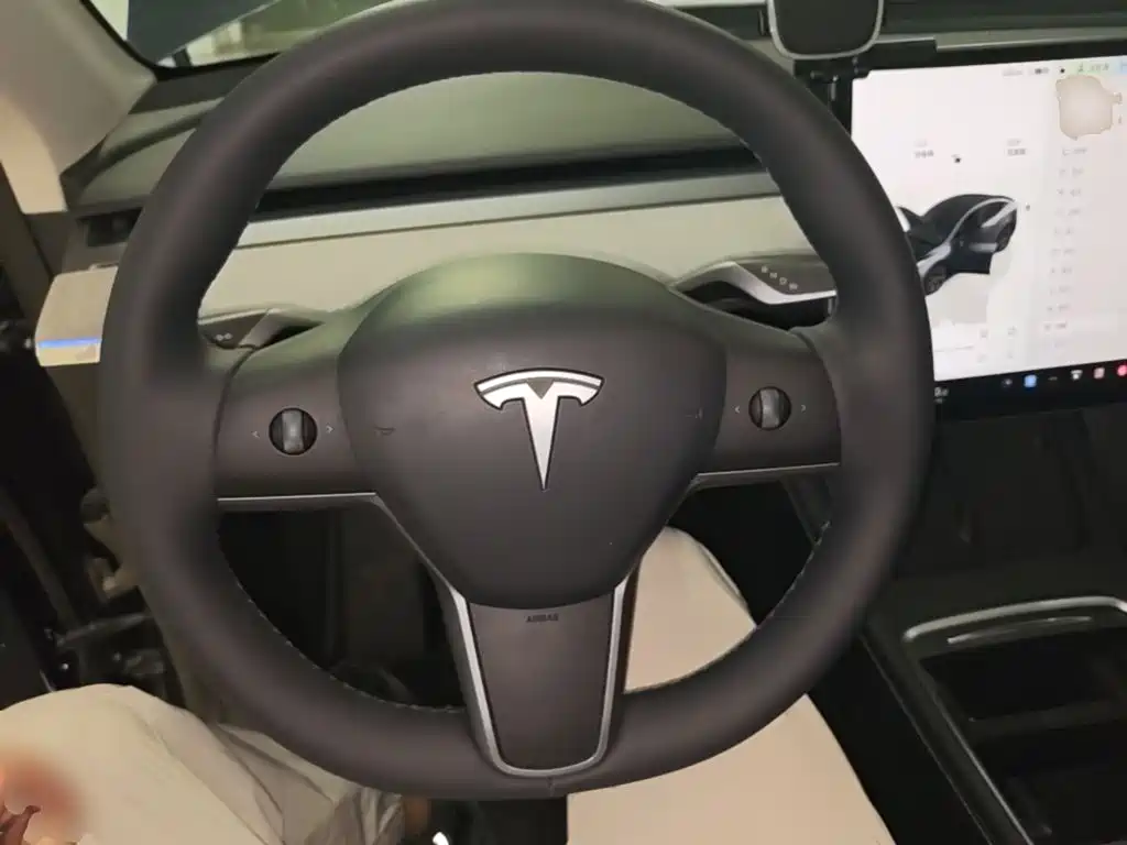 Tesla Model Y — миниатюра 11