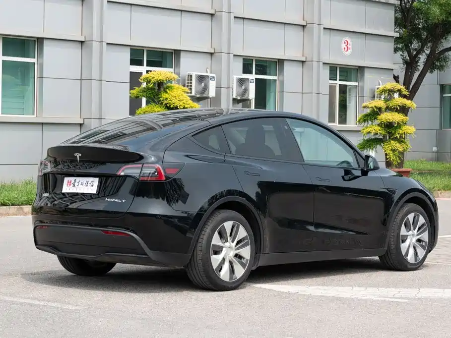 Tesla Model Y — миниатюра 3