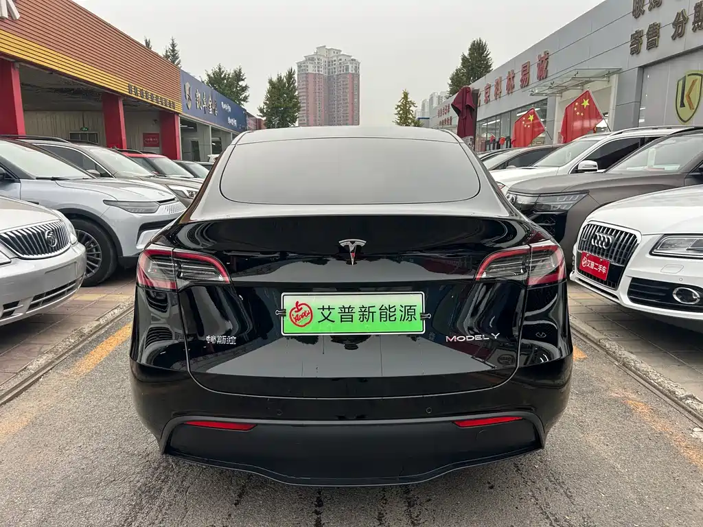 Tesla Model Y — миниатюра 3
