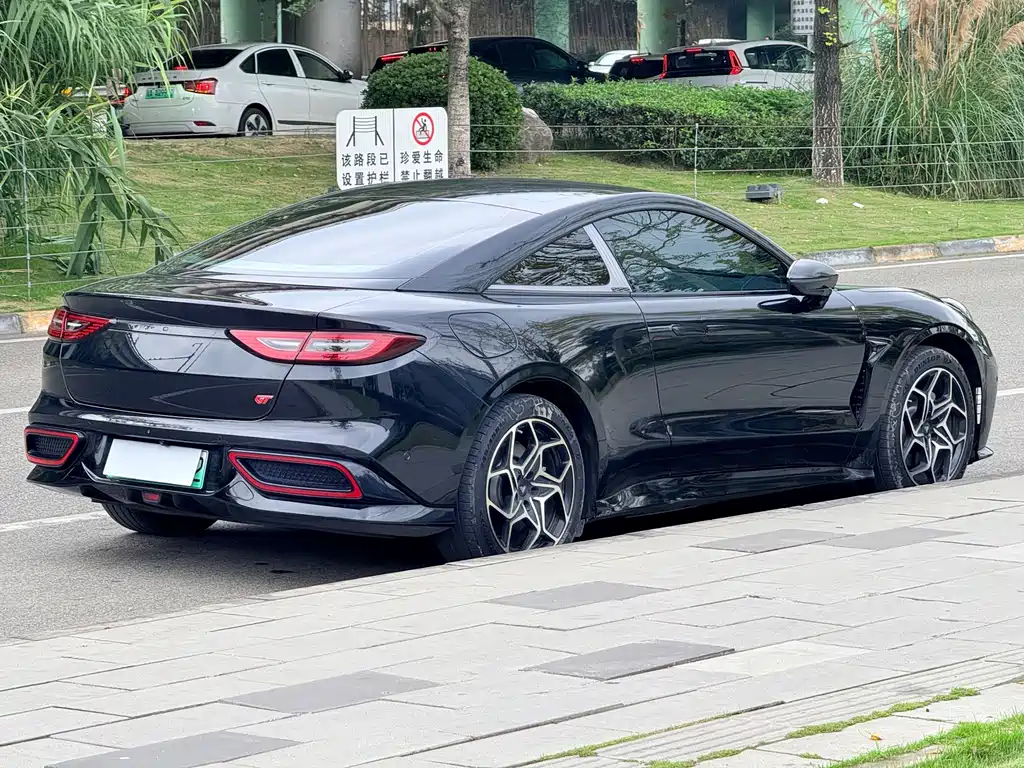 Neta Neta GT — миниатюра 6