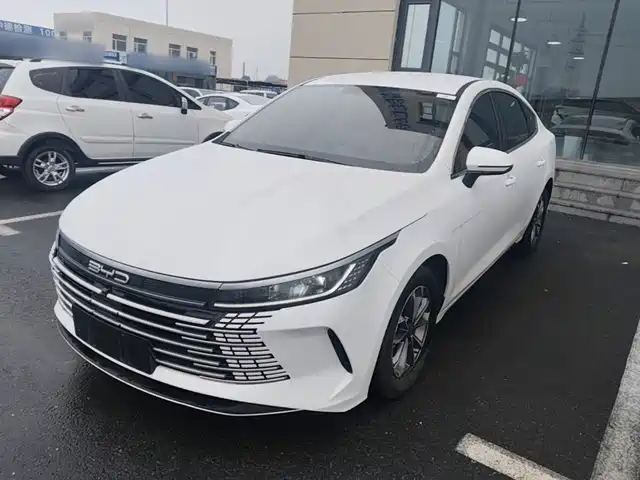 2024 BYD Destroyer