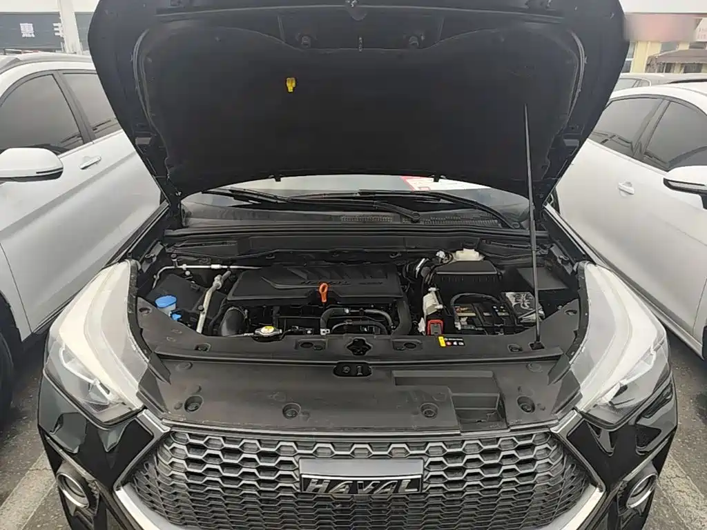 Haval H6 Coupe — миниатюра 20