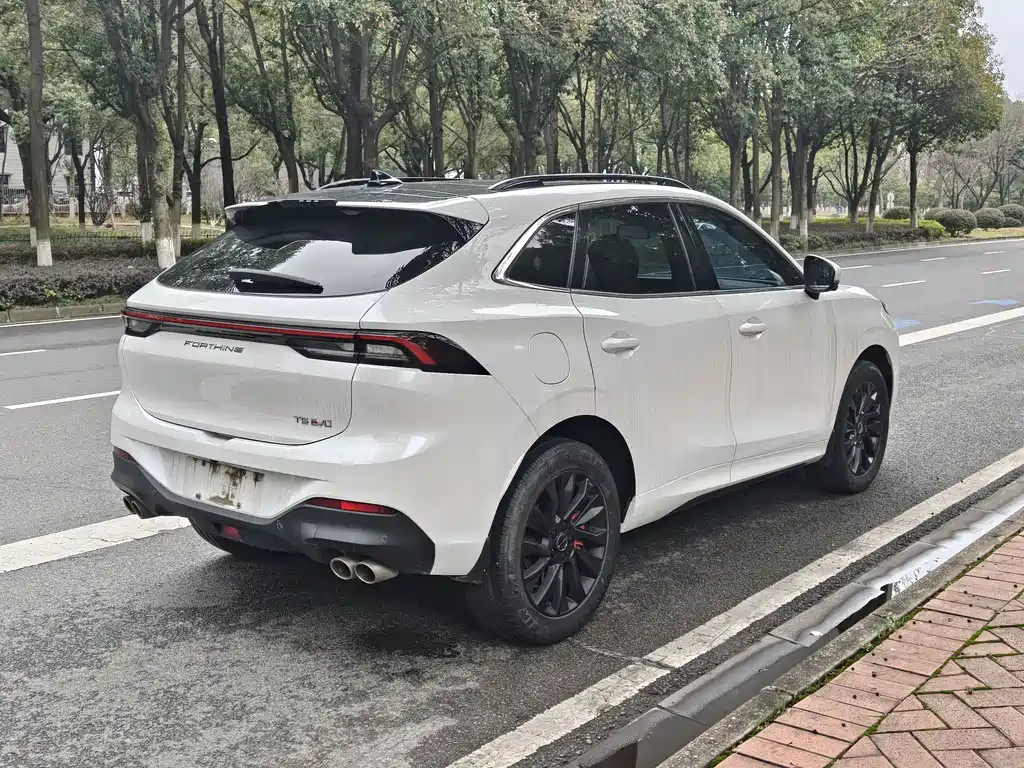 DONGFENG POPULAR T5 EVO