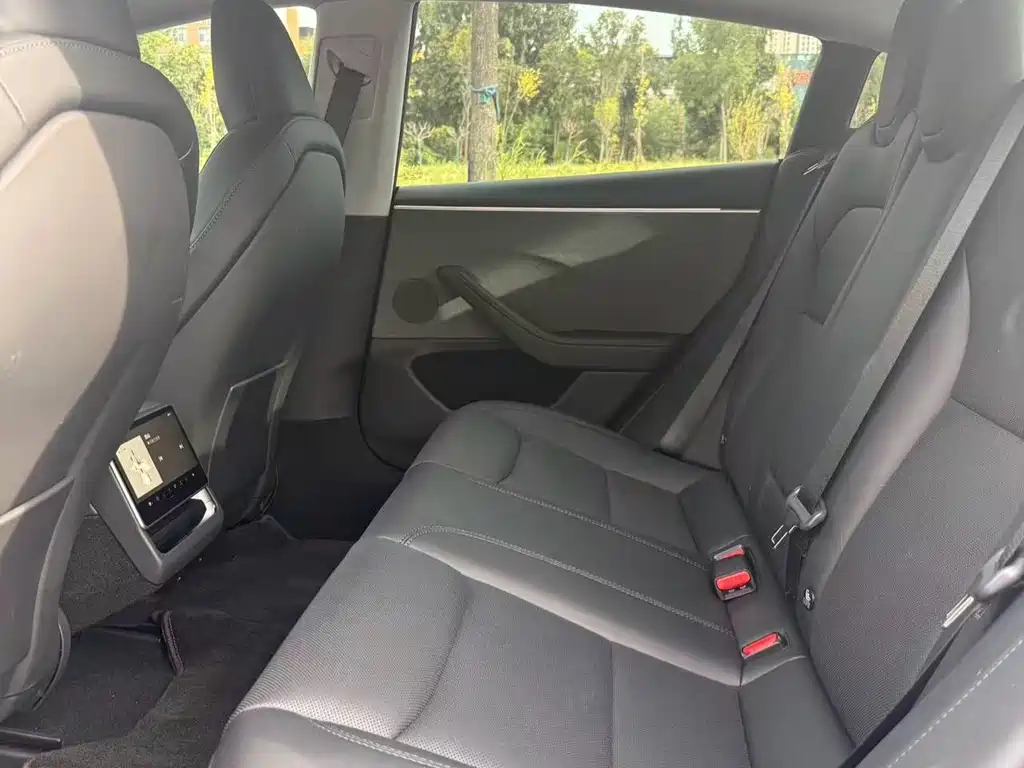 Tesla Model 3 — миниатюра 27