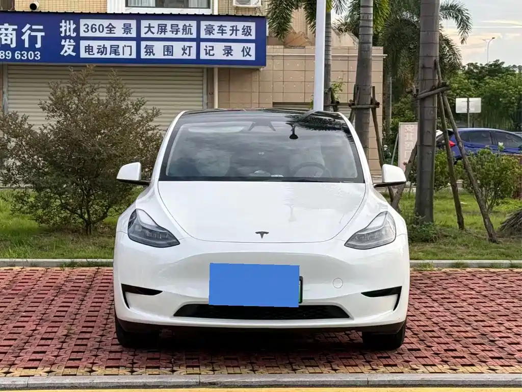 Tesla Model Y — миниатюра 2