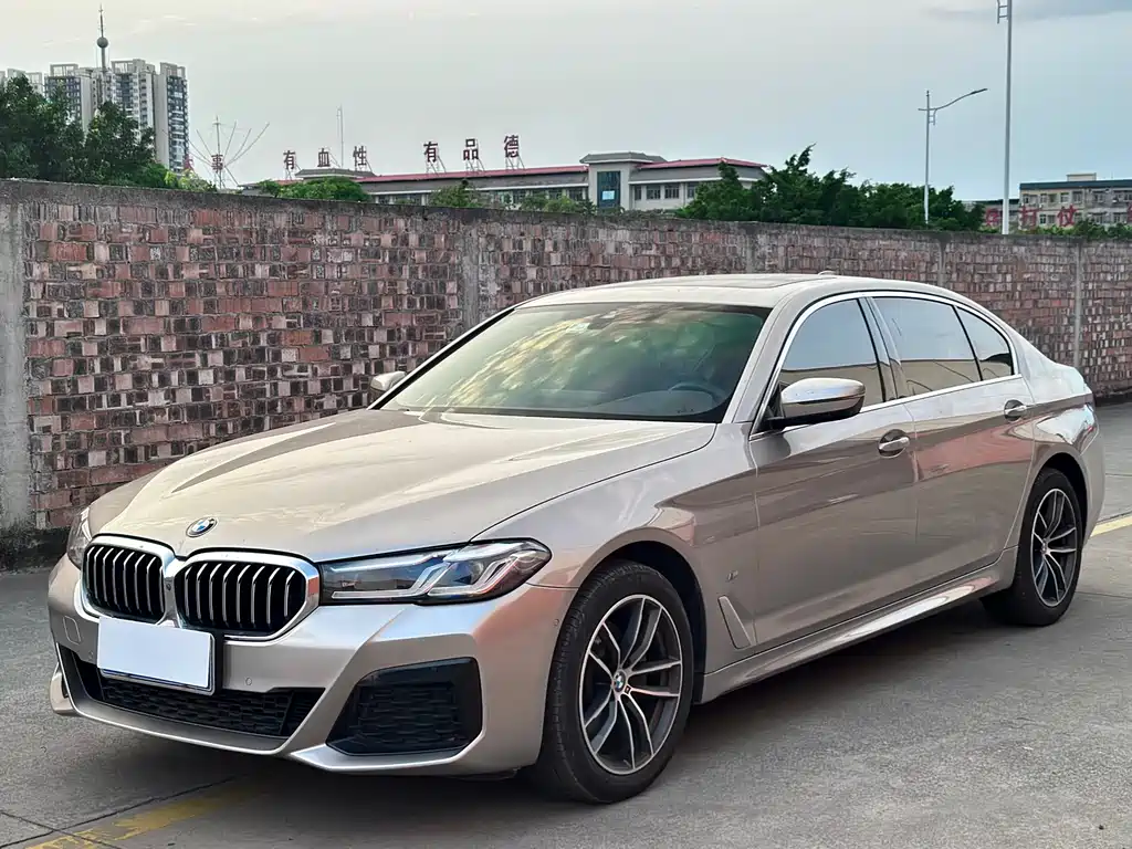 BMW 5 Series 2021
