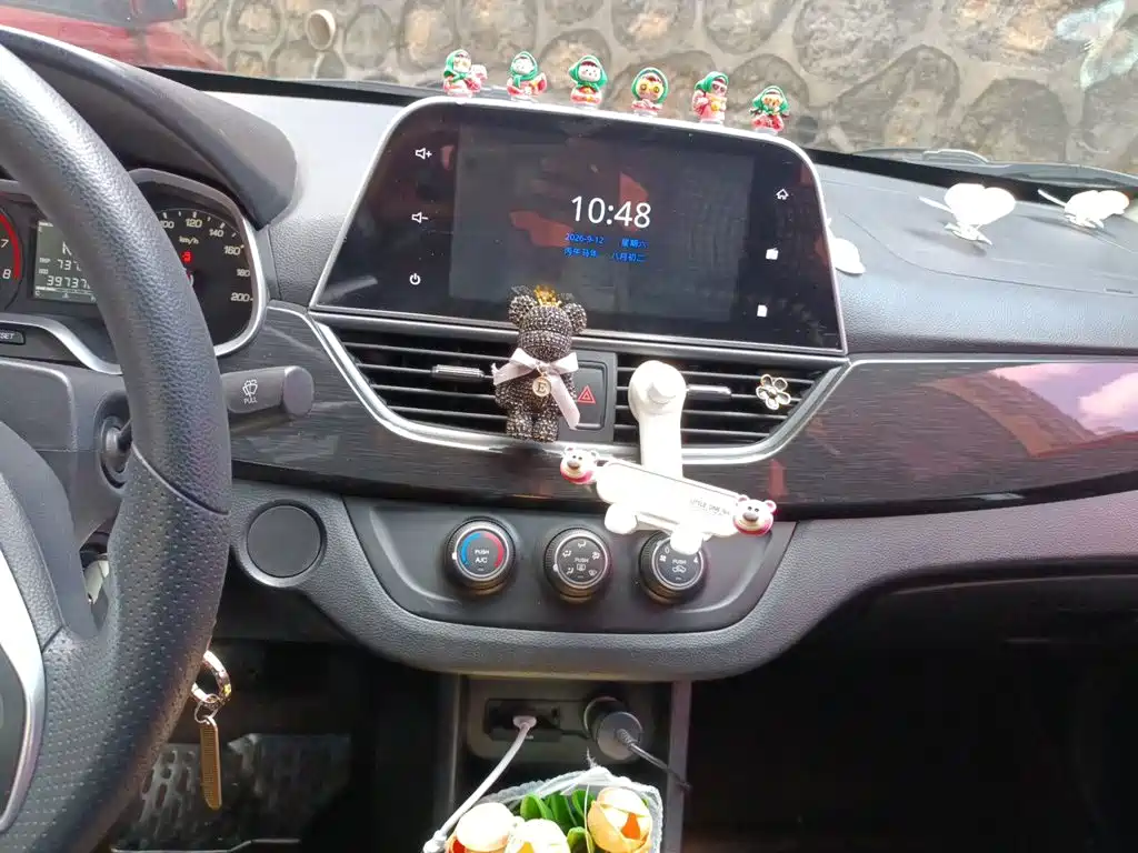 Baojun 310 — миниатюра 9