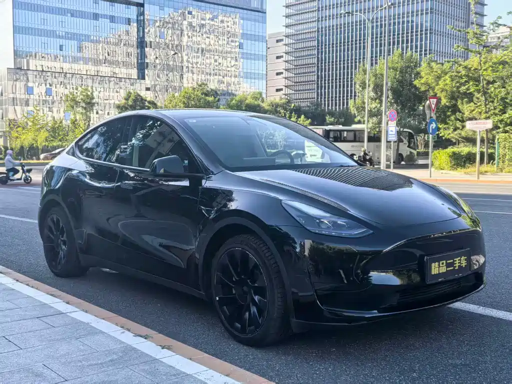 Tesla Model Y — миниатюра 2