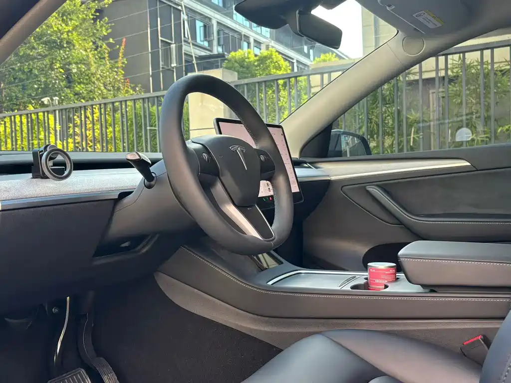 Tesla Model Y — миниатюра 4