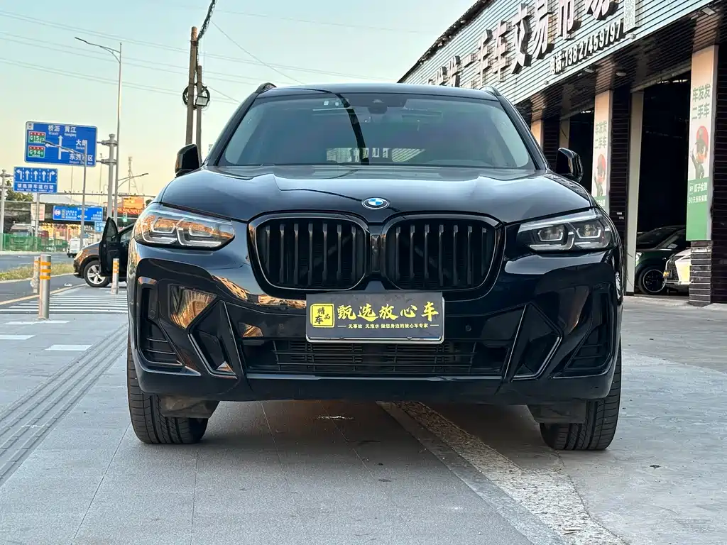 BMW X3 — миниатюра 2