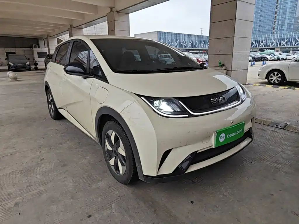 BYD Dolphin — миниатюра 4
