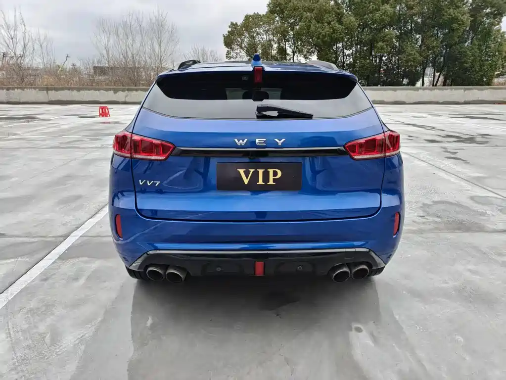 WEI PAI WEI BRAND VV7