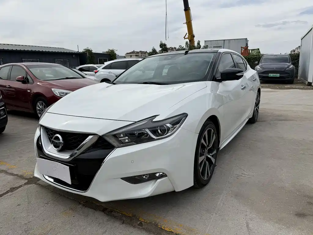 Nissan Cima 2017