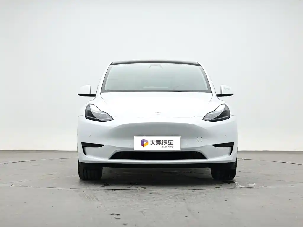 Tesla Model Y — миниатюра 2