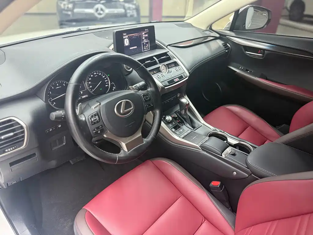 Lexus NX — миниатюра 13