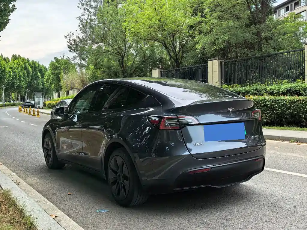 Tesla Model Y — миниатюра 9