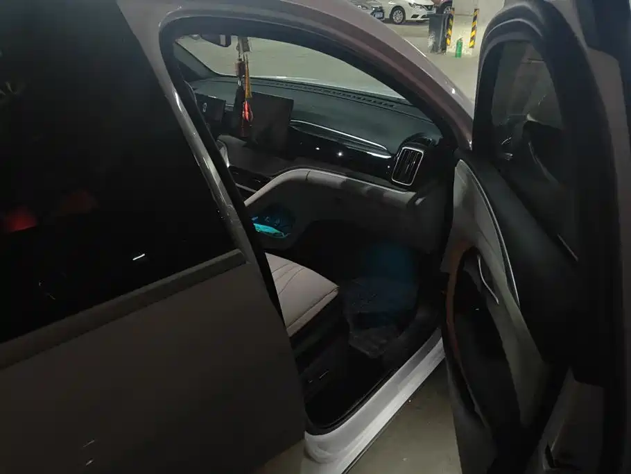 BYD Pro New Energy — миниатюра 8