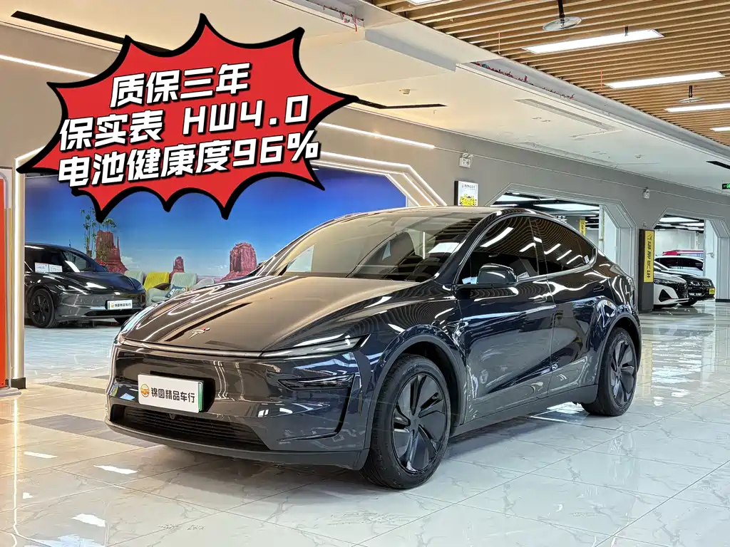 Tesla Model Y — миниатюра 7