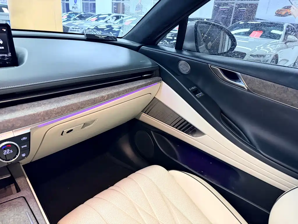 Genesis Electric G80 — миниатюра 16