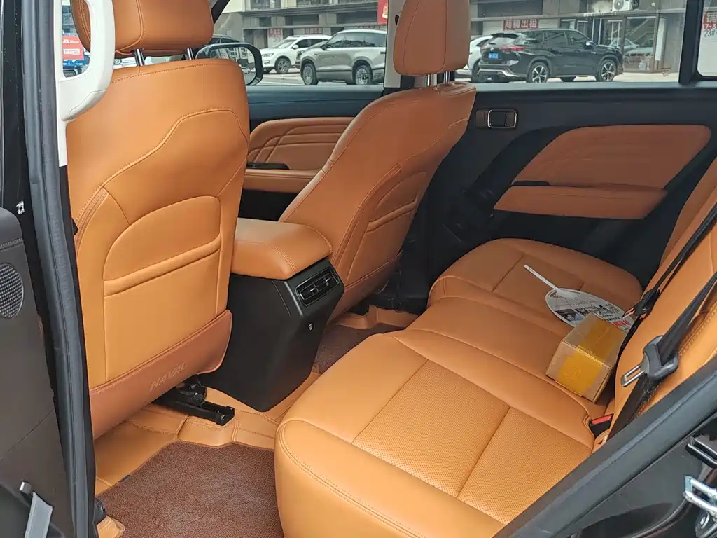 Haval Menglong New Energy — миниатюра 5