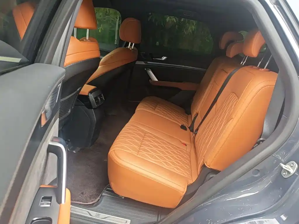 BYD Tang New Energy — миниатюра 17
