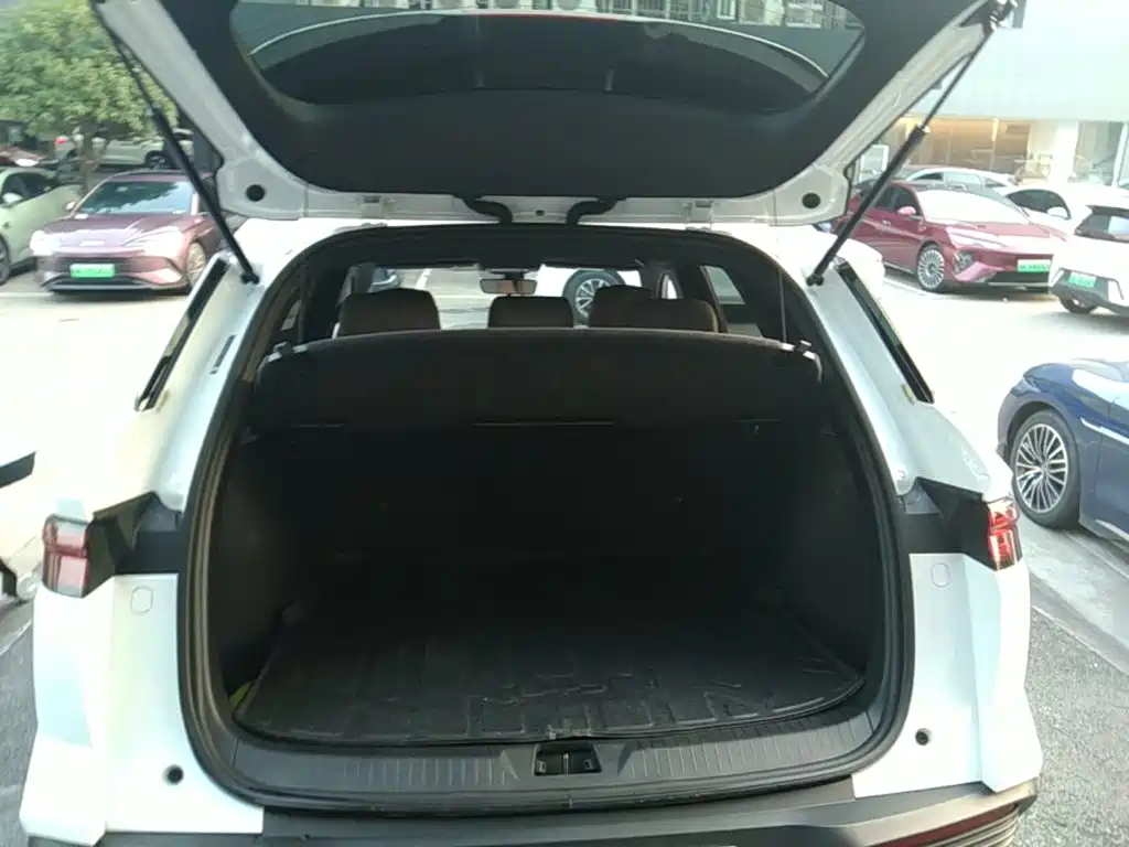 BYD Pro New Energy — миниатюра 19