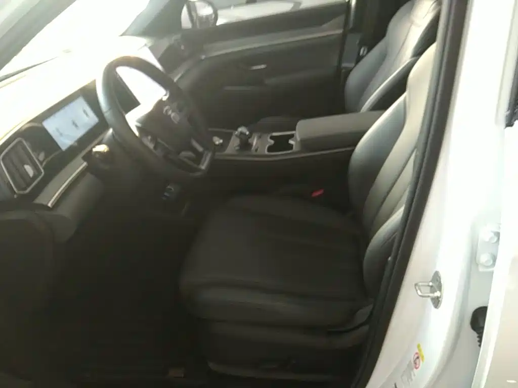 BYD Pro New Energy — миниатюра 15
