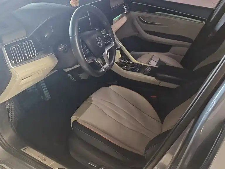 BYD PLUS New Energy — миниатюра 13