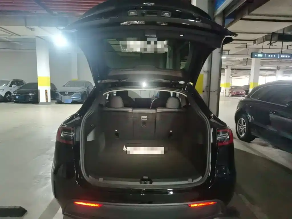 Tesla Model Y — миниатюра 19