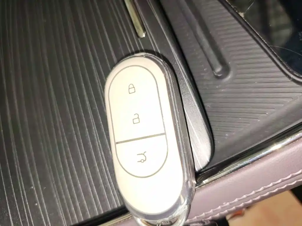 Leapmotor Leapmotor C11 — миниатюра 9