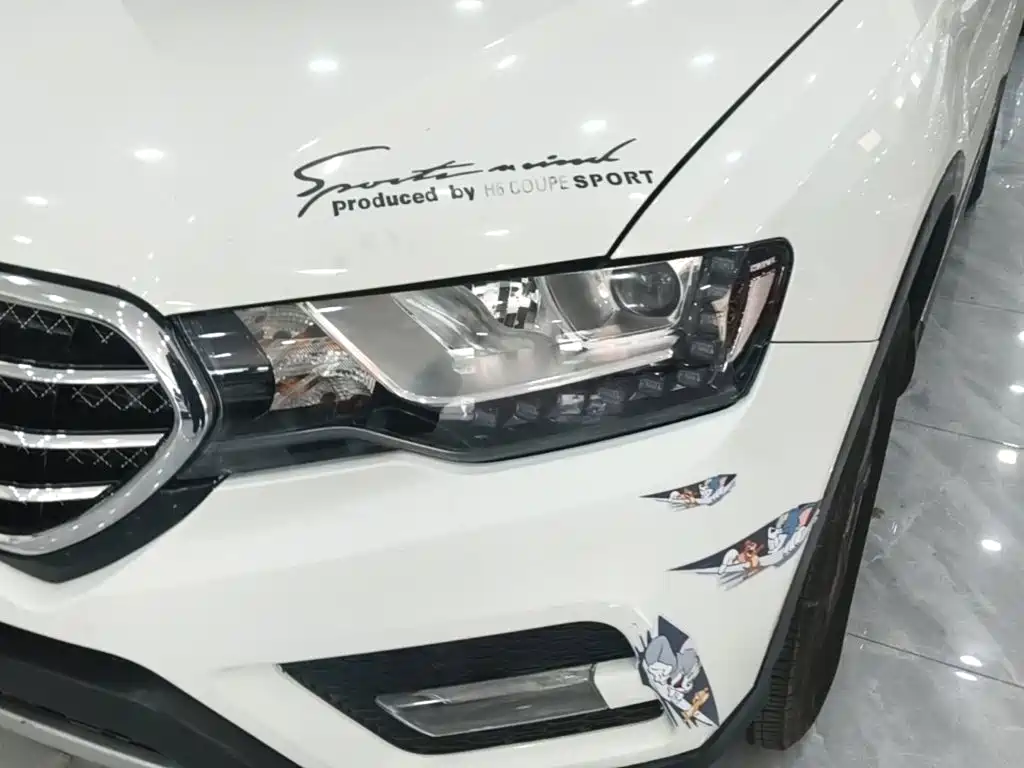 Haval H6 Coupe — миниатюра 24